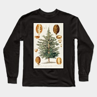 Cedar tree and cone dissectation - Cedrus - botanical illustration Long Sleeve T-Shirt